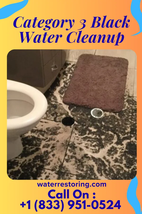 Category 3 Black Water Cleanup in Fairwood, WA