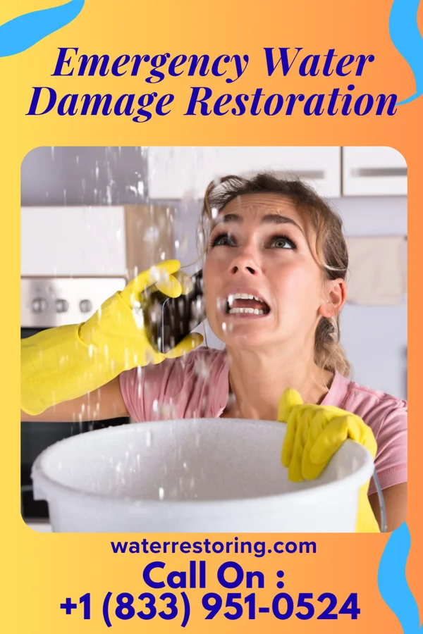 Emergency Water Damage Restoration in Fairwood, WA