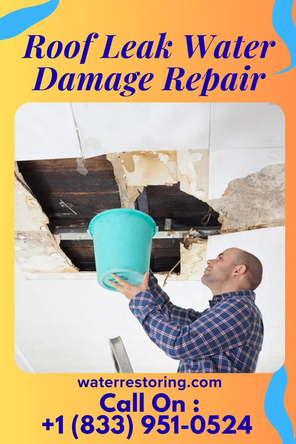 Roof Leak Water Damage Repair in Fairwood, WA