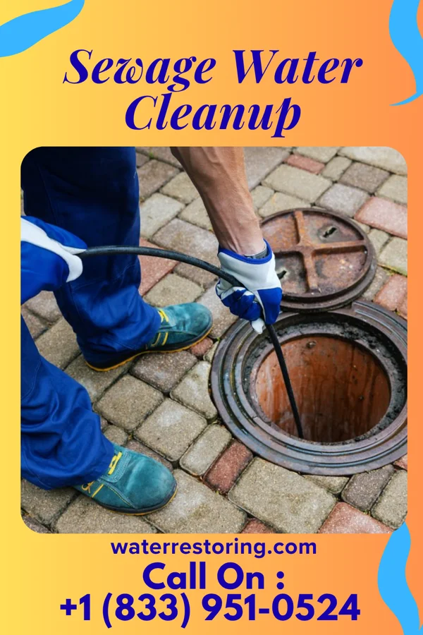 Sewage Water Cleanup in Fairwood, WA